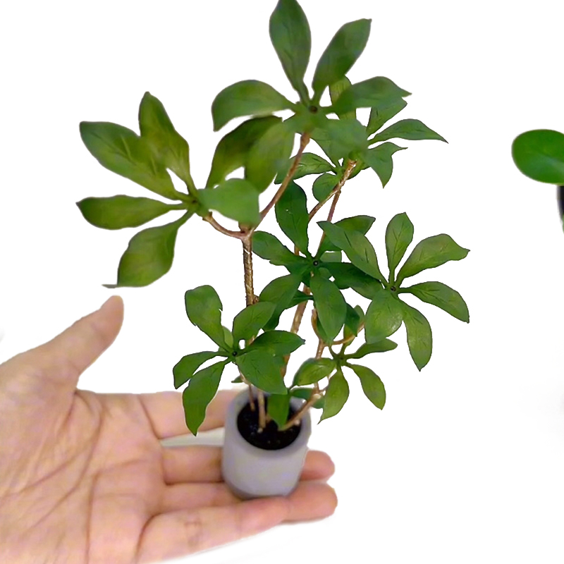 Bonsai Garden Miniature - ドールハウスミニチュア鉢植えモデル、緑の葉、植木鉢、盆栽、家の庭の装飾、おもちゃの人形、家のアクセサリー、1:6