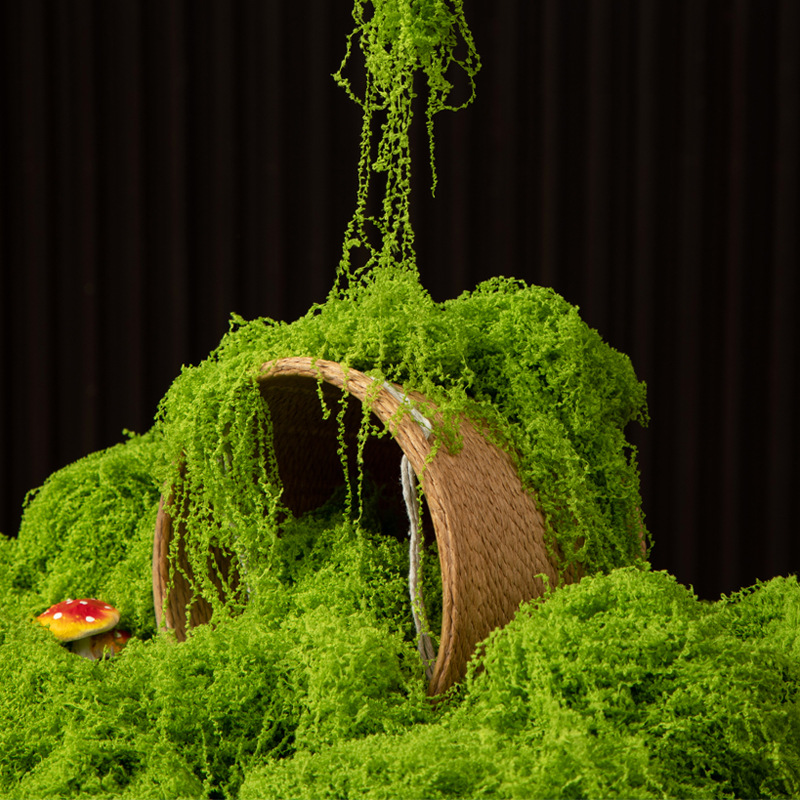Bonsai Garden For Home - 200 グラム永遠の命苔 DIY 工芸品草人工緑植物ホームルーム庭の装飾ミニ風景フェイク草盆栽