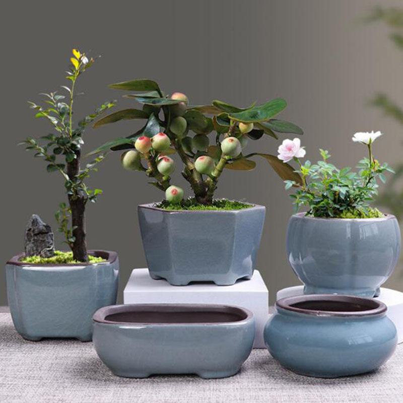 Bonsai Garden Zen - 家と庭のためのレトロなセラミック植木鉢,通気性のある花瓶,盆栽コンテナ,バルコニーの装飾
