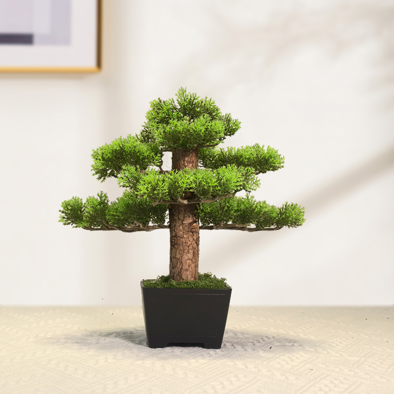 人工植物盆栽、模擬木、鉢植え、造花、ダイニングテーブル鉢植え - Bonsai Garden Zen のレビューと価格