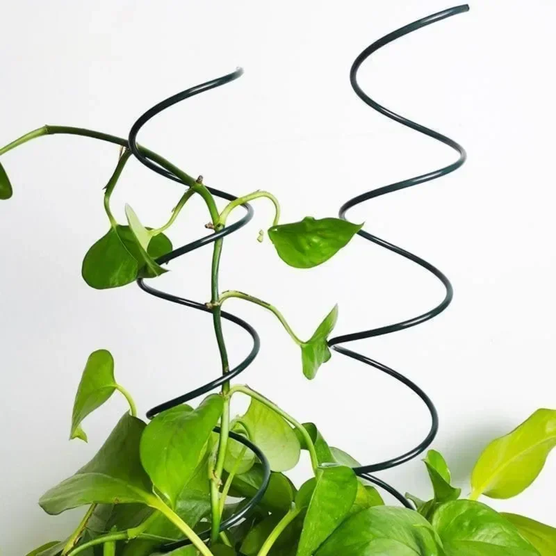 つる性植物サポートステークスタンド、つる性植物ラック、トマト - Bonsai Garden Stand のレビューと価格