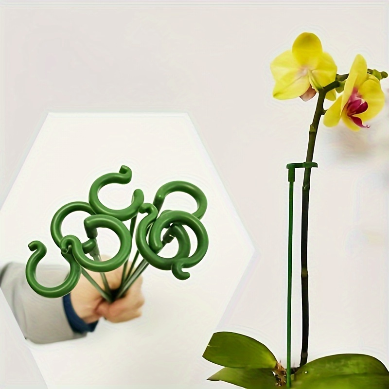 6個入り グリーン プラスチック製 植物支柱 フック付き 再 - Bonsai Garden Stand のレビューと価格