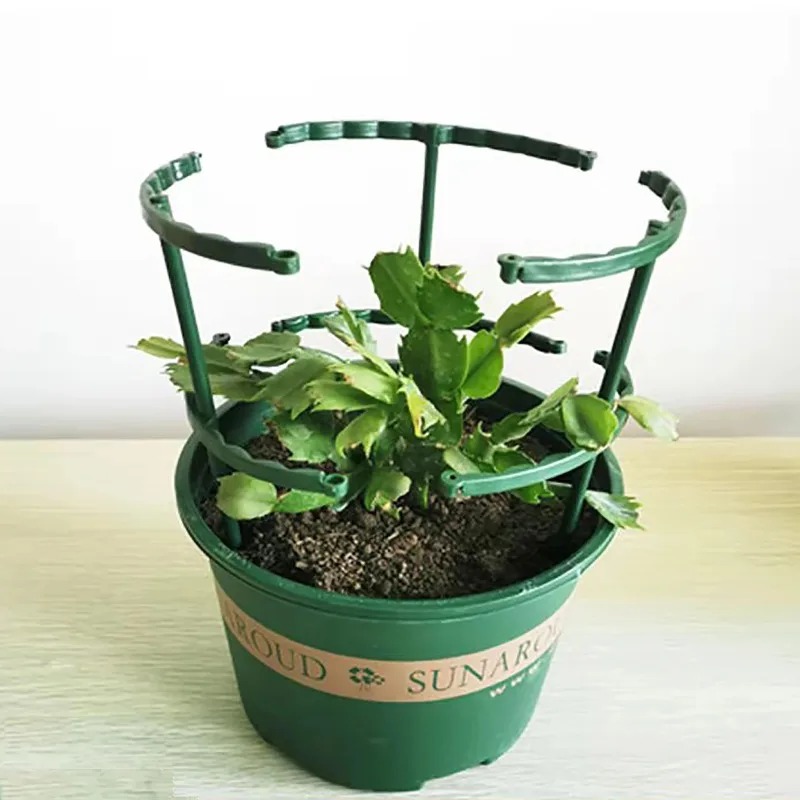 4個入り プラスチック製 植物支柱 花用 温室整理用 ロッド - Bonsai Garden Stand のレビューと価格