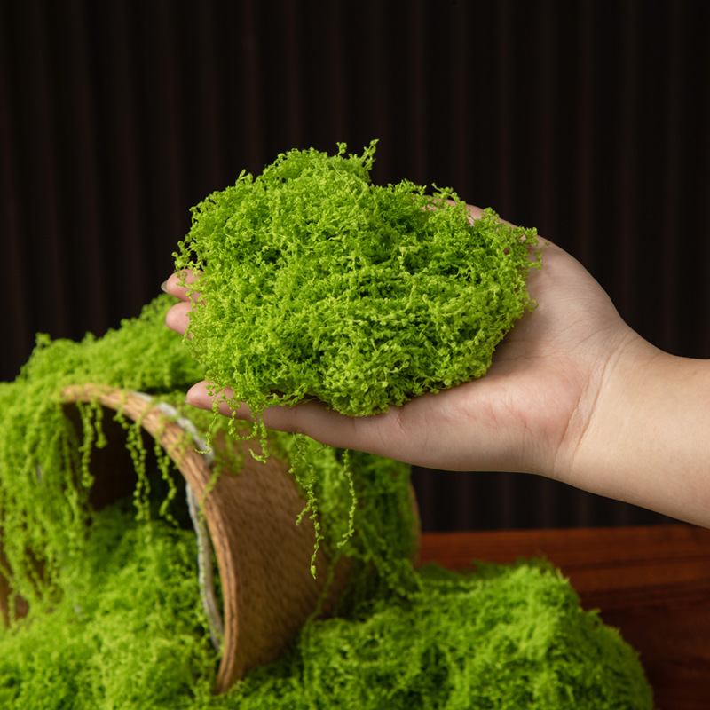 200 グラム永遠の命苔 DIY 工芸品草人工緑植物ホームル - Bonsai Garden For Home のレビューと価格