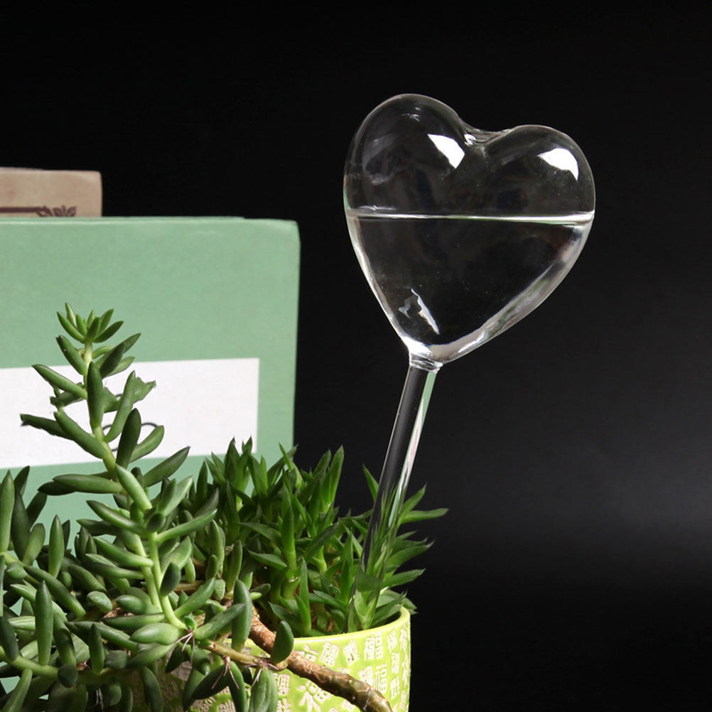 3個入りハート型ガラス製自動給水グローブ、鉢植え、盆栽用自動 - Bonsai Garden For Home のレビューと価格