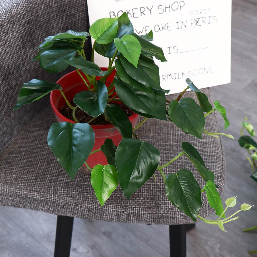 トロピカル北欧風デスクオフィスガーデン装飾、家庭用盆栽、フェ - Bonsai Garden Desk のレビューと価格