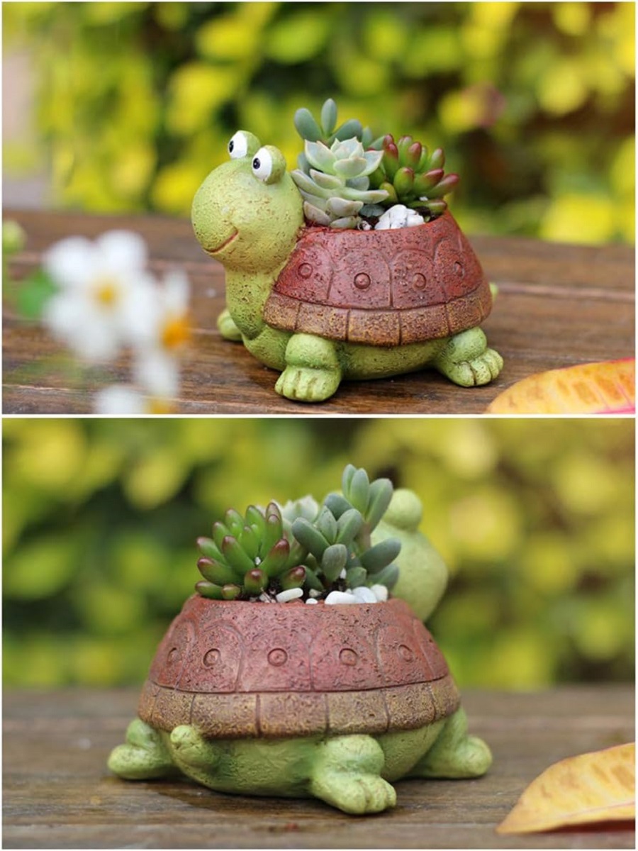 かわいいカメプランタージューシーな盆栽サボテン植物ポット女の - Bonsai Garden Desk のレビューと価格