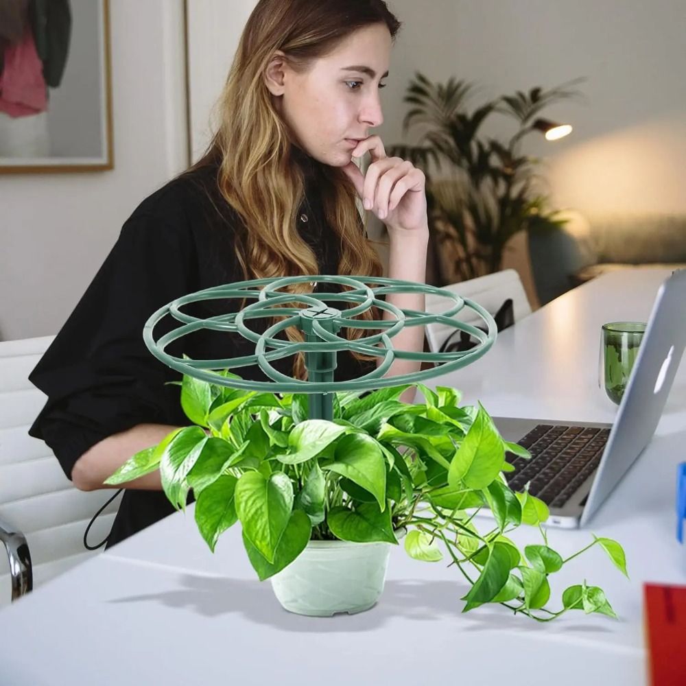 耐久性のあるS/M/Lサイズ盆栽用クライミングフレーム、積み - Bonsai Garden Stand のレビューと価格