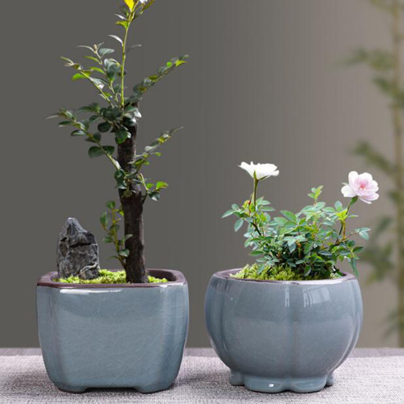 家と庭のためのレトロなセラミック植木鉢,通気性のある花瓶,盆 - Bonsai Garden Zen のレビューと価格