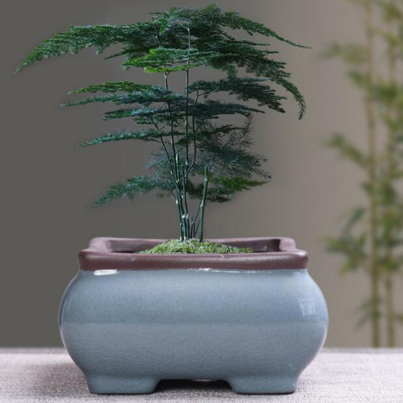 家と庭のためのレトロなセラミック植木鉢,通気性のある花瓶,盆 - Bonsai Garden Zen のレビューと価格