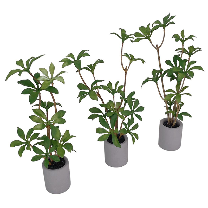ドールハウスミニチュア鉢植え、緑の葉のポット、盆栽、家の庭の - Bonsai Garden Miniature のレビューと価格
