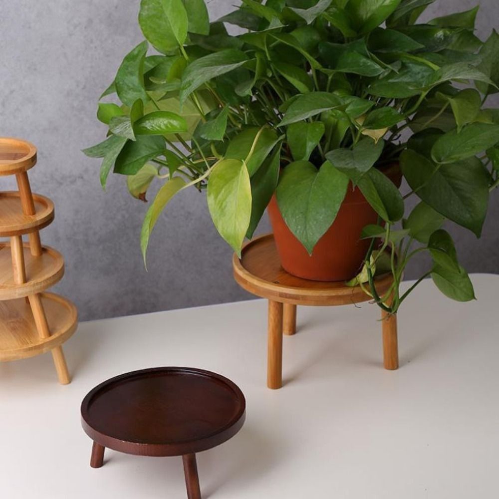固体クリエイティブ多肉植物花瓶ホルダー家の装飾庭の鉢植えベー - Bonsai Garden Stand のレビューと価格