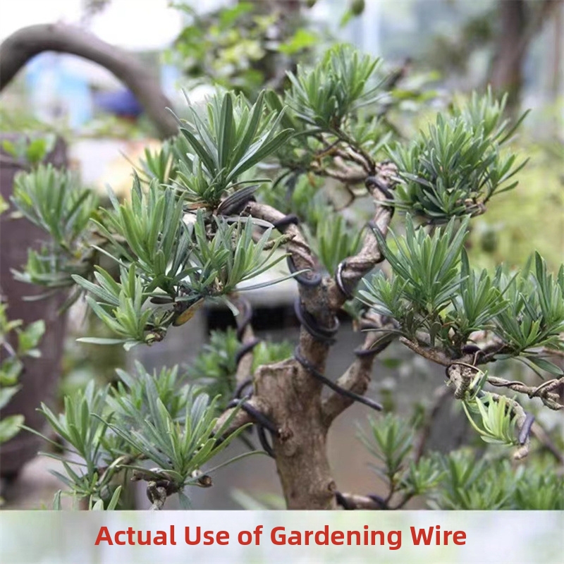 1.5MM盆栽ワイヤー アルミ盆栽トレーニングワイヤー モデ - Bonsai Garden For Home のレビューと価格