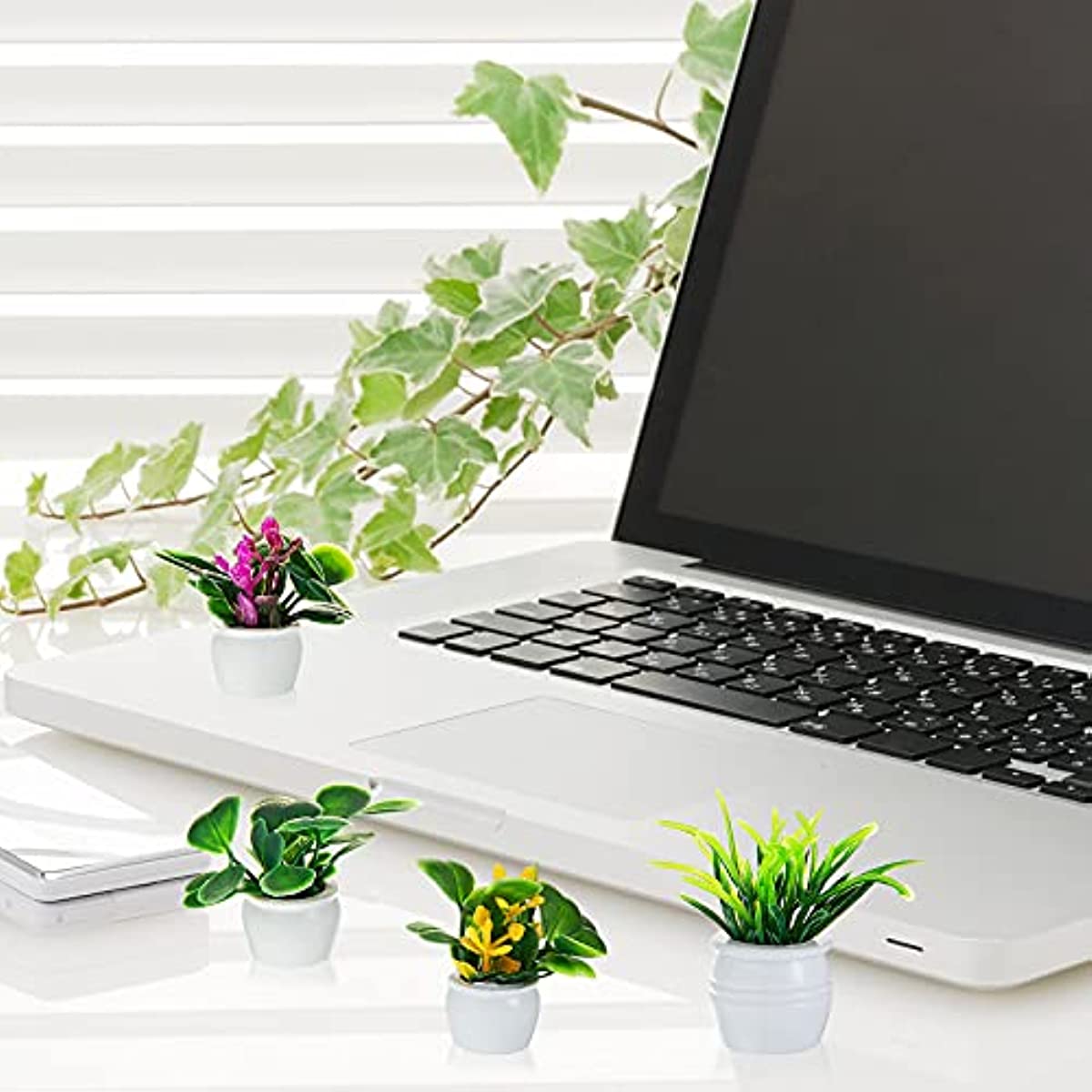 ドールハウス植物、ミニチュア盆栽、ミニ鉢植え、フラワーモデル - Bonsai Garden Zen のレビューと価格