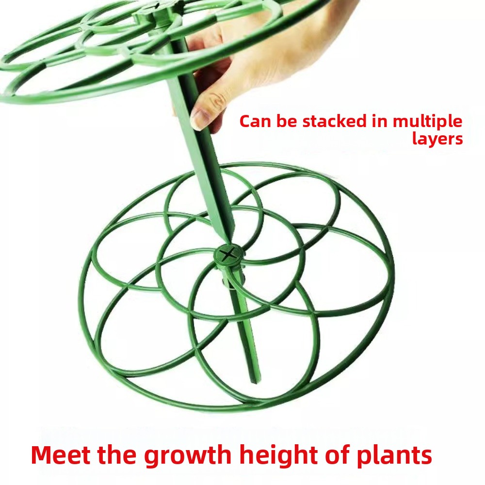耐久性のあるS/M/L盆栽用クライミングフレーム、プラスチッ - Bonsai Garden Stand のレビューと価格