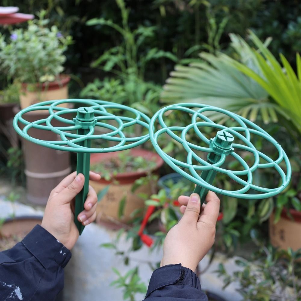 耐久性のあるS/M/L盆栽用クライミングフレーム、プラスチッ - Bonsai Garden Stand のレビューと価格