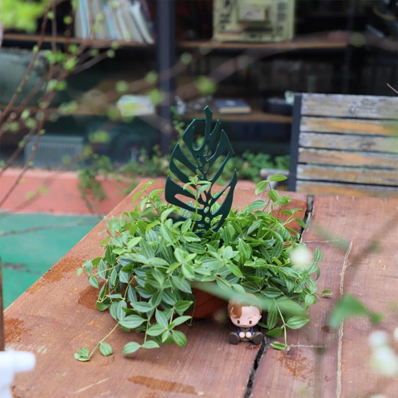 植物登山サポートスタンド花固定トレリスガーデニング鉢植え盆栽 - Bonsai Garden Stand のレビューと価格