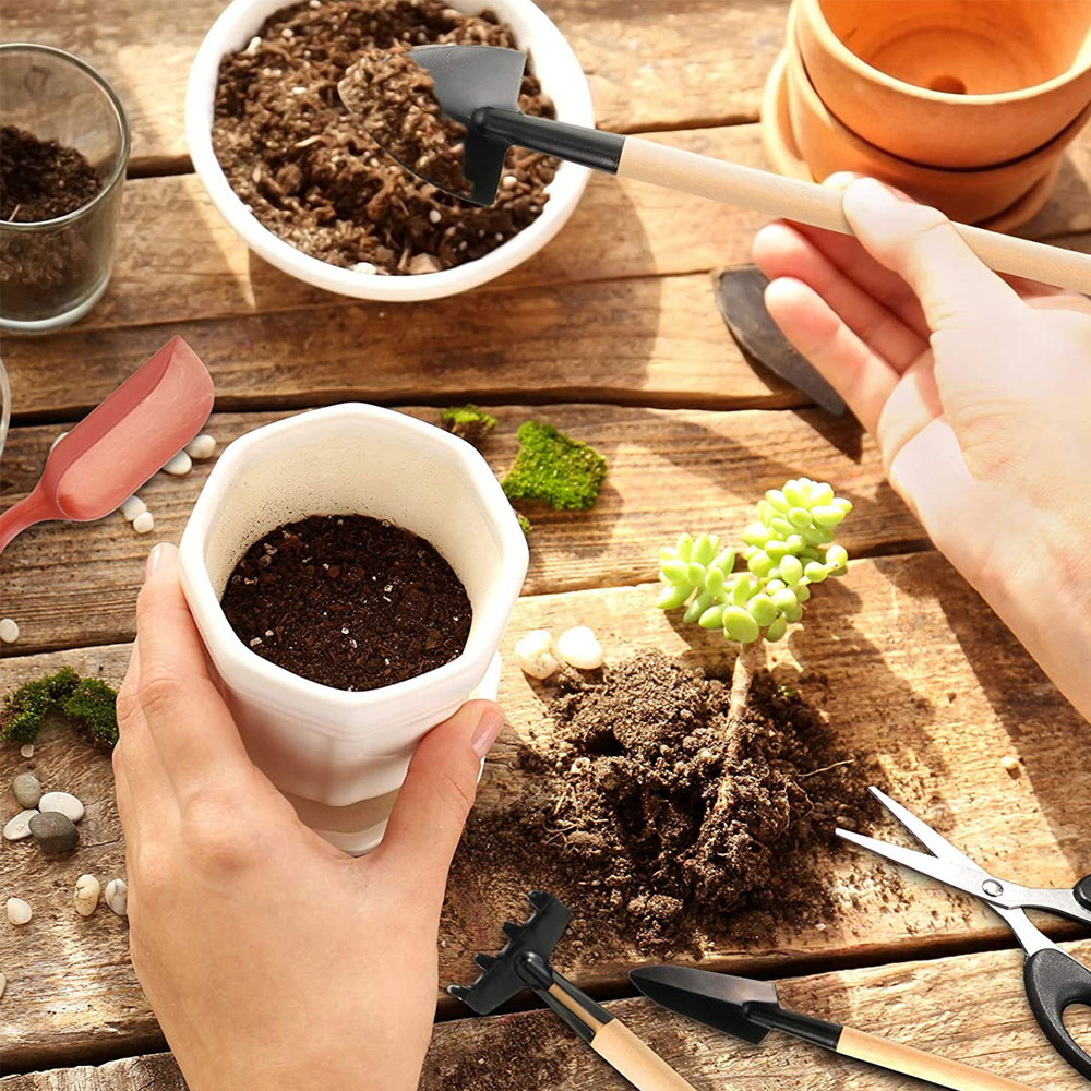 多肉植物ツールミニガーデンハンドツール金型屋外盆栽ガーデニン - Bonsai Garden Miniature のレビューと価格